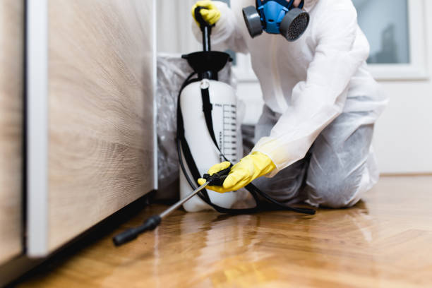 Best Pest Removal Services  in Bridge City, LA