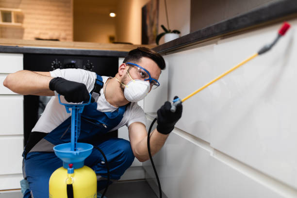 Best Wildlife Control Services  in Bridge City, LA