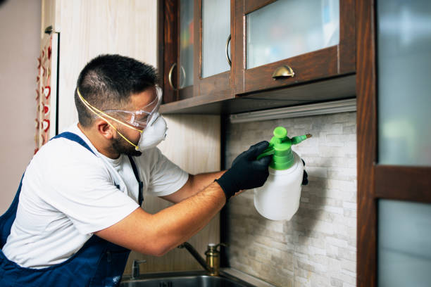Best Bed Bug Extermination  in Bridge City, LA