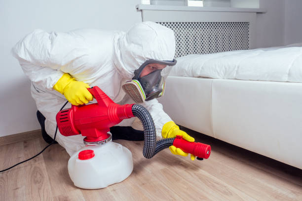 Best Residential Pest Control  in Bridge City, LA