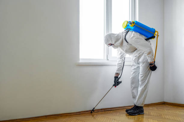 Best Exterminator Services  in Bridge City, LA
