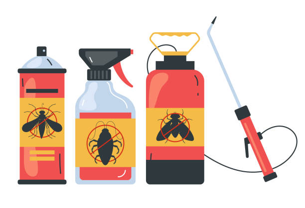 Best Pest Prevention Services  in Bridge City, LA