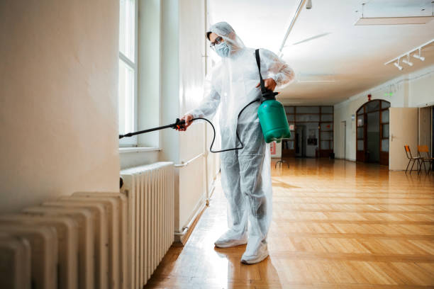 Best Termite Control Services  in Bridge City, LA