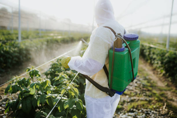 Best Best Pest Control Companies  in Bridge City, LA